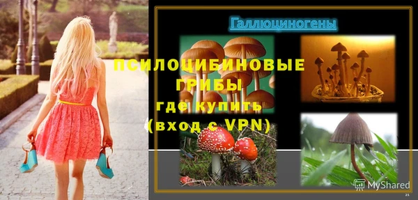 сатива Арсеньев